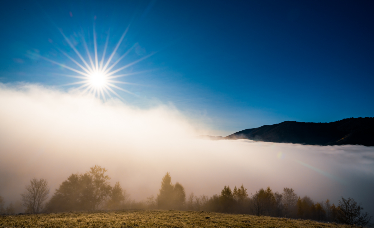 Novembernebel