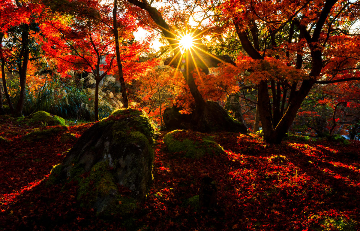 Herbst